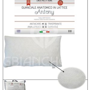 GUANCIALE ANTONY ANATOMICO IN LATTICE