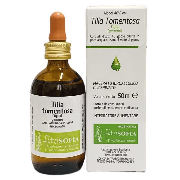 Tilia tomentosa