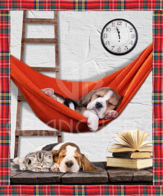 PLAID SWEET SLEEP STAMPATO